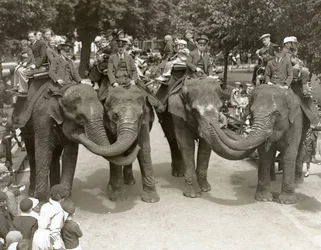 Elefantenreiten im Londoner Zoo, Juli 1936