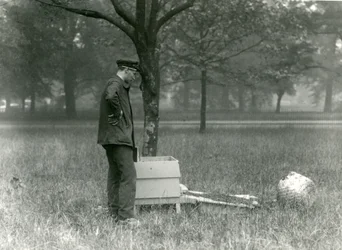 Wärter Brown bewegt einen Schwarm Honigbienen, Londoner Zoo, Juli 1926