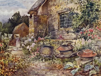 Winderton