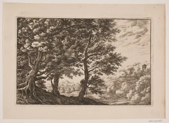 Bergige Landschaft mit großen Bäumen