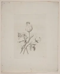 Blumenmotiv