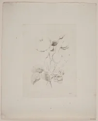 Blumenmotiv