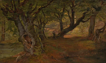 Ansicht des Bregentved-Waldes, Sjaeeland