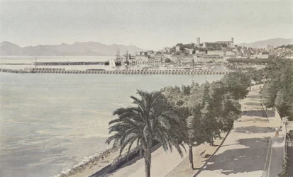 Cannes, Hafen und Altstadt, Boulevard de la Croisette