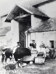 Bauern um einen Brunnen auf einem Bauernhof, ca. 1860-70