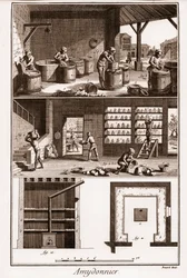 AMDONIER - Amydonnier - „Die Große Enzyklopädie, ou Dictionnaire Raisonne des Sciences, des Arts et des Metiers“ (Enzyklopädie oder Wörterbuch der Wissenschaften, Künste und Berufe) von Denis Diderot (1713-1784) und Jean d