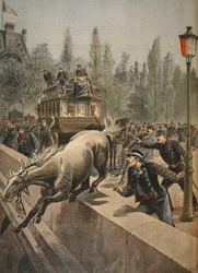 Ein Pferd begeht Selbstmord, Illustration aus Le Petit Journal: Supplement illustre, 1898