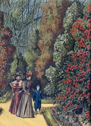 Akklimatisierungsgarten - das Kameliengewächshaus in einem botanischen Garten