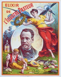 Werbung für Elixir de l