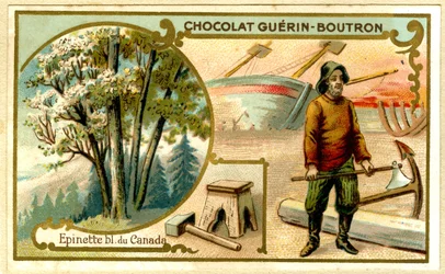 Werbe-Chromolithographie von Guérin Boutron Schokoladen