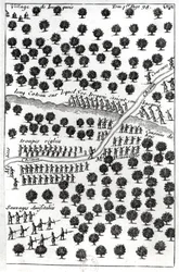 Hinterhalt der Irokesen, aus „Dialogue de M. le baron de Lahontan et d