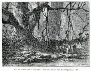 Eine elektrische Telegrafenleitung in einem amerikanischen Wald, ca. 1870 (Stich)