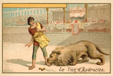 Androklus und der Löwe