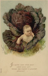 Baby, das aus einem Kohlkopf kommt
