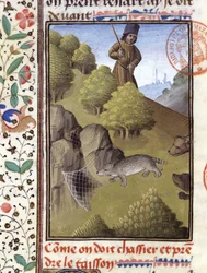 Dachsjagd - in „Jagd Buch von Gaston Phoebus, Graf von Foix, Herr von Béarn“