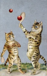 Katzen spielen Tennis - Postkarte Anfang 20. Jahrhundert