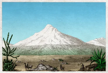 Chimborazo Vulkan (Stich, ca. 1840)