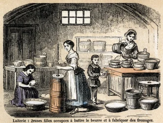 Beschreibung der verschiedenen Berufe und Schafprodukte: junge Milchbauern stellen Butter und Käse in einer Molkerei her. Tafel „Die Schafe“ in „Les Recreations instructives“. Synoptisches Gemälde von Jules Delbruck, Gravur von 1860.