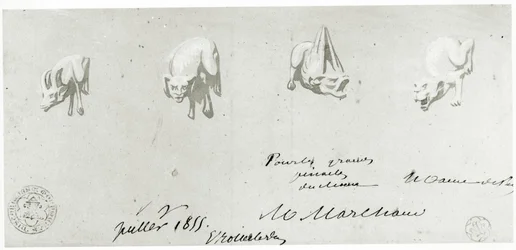 Zeichnung für die Restaurierung der Wasserspeier von Notre Dame, 1855