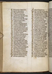 Egerton MS 881 f.65v, Guillaume de Lorris und Jean de Meun, Roman de la Rose