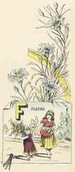 F: Blumen