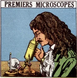 Erste Mikroskope: Huygens