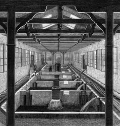 Fischzucht: die bewirtschafteten Teiche von Brut in Huningue, Haut Rhin (68)