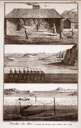 Fischen, Heringe und Sardinen - „La Grande Encyclopedie, ou Dictionnaire Raisonne des Sciences, des Arts et des Metiers“ von Deni