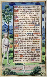 Fol.50v Seite mit Text und Randdetail eines Musikers, der seinen Hund tanzen lässt, aus 