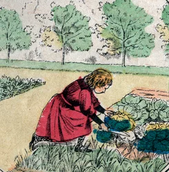 Französischer Glaube: Ein kleines Mädchen, das glaubt, dass Babys in Kohl oder Rosen geboren werden, schneidet die Sprossen eines Gemüsegartens ab - Epinal-Bild - 19. Jahrhundert (Gravur)