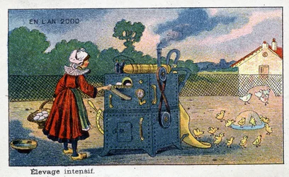 Futuredays: Eine Vision des 19. Jahrhunderts vom Jahr 2000 - Serie „Im Jahr 2000“: Intensive Zucht (Ei wird zum Küken beim Verlassen der Brutmaschine). Chromolithographie von Villemard