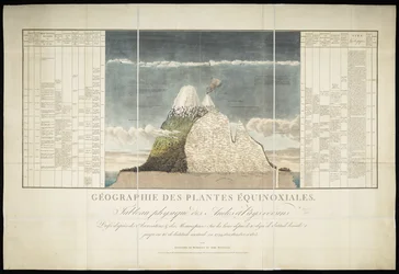 Geographie der Äquatorialpflanzen
