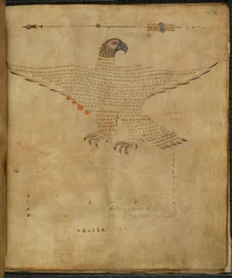 Harley 647, f.7 Illustration des Sternbildes 