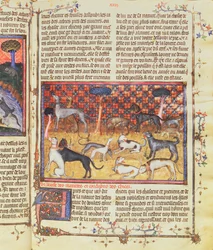 Jagdhunde von Gaston III., Comte de Foix Phebus le Chasseur (1331-91), aus Livre de la Chasse, 1387-89