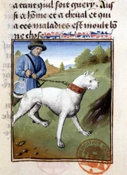 Jagdhund an der Leine gehalten - in „Jagd Buch von Gaston Phoebus, Graf von Foix, Herr von Béarn“
