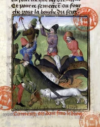 Jagdszene: der Anteil des Hirsches für das Rudel Hunde - in „Das Jagdbuch von Gaston Phoebus, Graf von Foix, Herr von Béarn“