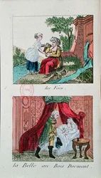Illustrationen für 