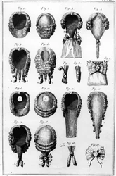 Illustrationen verschiedener Perückenmoden, Tafel VII, Bd. 8, aus Encyclopedie des Sciences et Metiers von Diderot, veröffentlicht um 1770