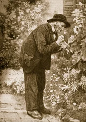 Jean-Henri Fabre beobachtet Insekten