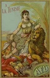 Etikett für tunesisches Garn