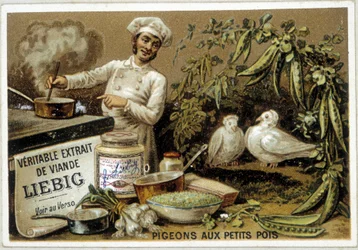 Liebig Rezepte: Tauben mit Erbsen