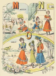 M N O: Schaf, Notwendig, Vogel