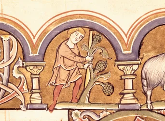 März: Bäume veredeln, aus dem Psalter der St. Elisabeth