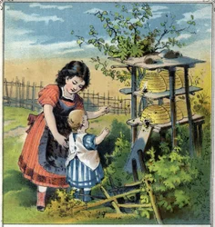 Martha zeigt ihrer kleinen Schwester die Arbeit der Bienen im Bienenstock. Chromolithographie aus „Kindheitsszenen“, ed. Guerin - Muller um 1885.