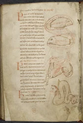 Verschiedenes zu Computus und Astronomie, Royal MS 13 A XI