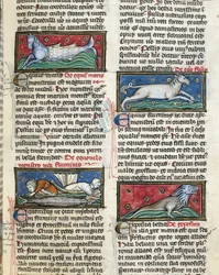 Seemonster, aus 
