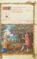 Ms 438 Der Monat November: Eicheln sammeln, aus einem Stundenbuch, 1490