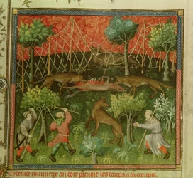 Wolfjagd mit Netzen, aus dem Livre de la Chasse von Gaston Phebus de Foix (1331-91)