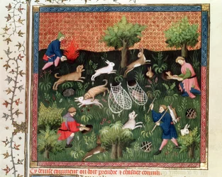 Ms Fr 616 fol.92 Hasenjagd, aus dem Livre de la Chasse von Gaston Phebus de Foix (1331-91), spätes 15. Jahrhundert