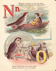 N O: Nachtigall, Navigation, Eule, Orchester
